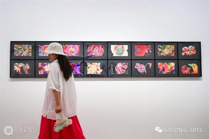 国家美术·展讯丨以花之名——上海明珠美术馆 上海明珠美术馆 国家 美术 展讯 名称 日期 地点 开幕式 嘉宾 艺术家 崇真艺客