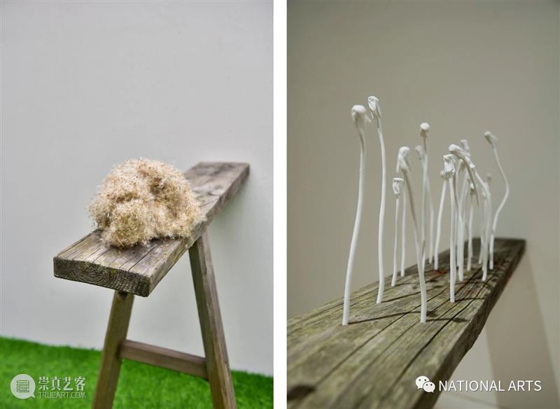 国家美术·展讯丨以花之名——上海明珠美术馆 上海明珠美术馆 国家 美术 展讯 名称 日期 地点 开幕式 嘉宾 艺术家 崇真艺客