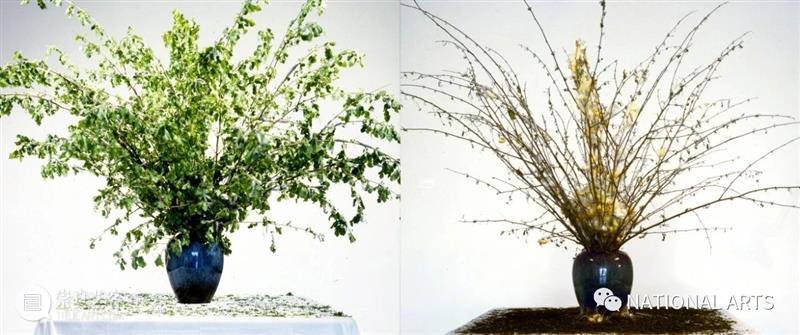 国家美术·展讯丨以花之名——上海明珠美术馆 上海明珠美术馆 国家 美术 展讯 名称 日期 地点 开幕式 嘉宾 艺术家 崇真艺客