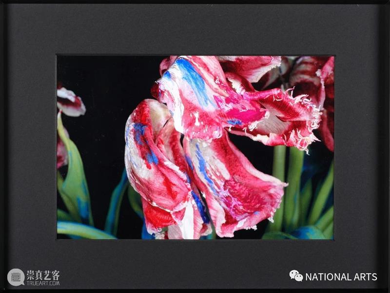 国家美术·展讯丨以花之名——上海明珠美术馆 上海明珠美术馆 国家 美术 展讯 名称 日期 地点 开幕式 嘉宾 艺术家 崇真艺客