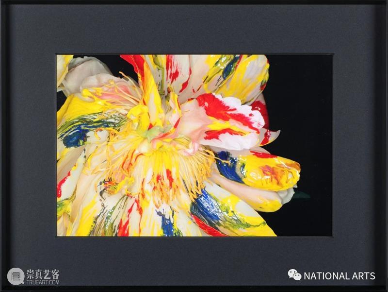 国家美术·展讯丨以花之名——上海明珠美术馆 上海明珠美术馆 国家 美术 展讯 名称 日期 地点 开幕式 嘉宾 艺术家 崇真艺客