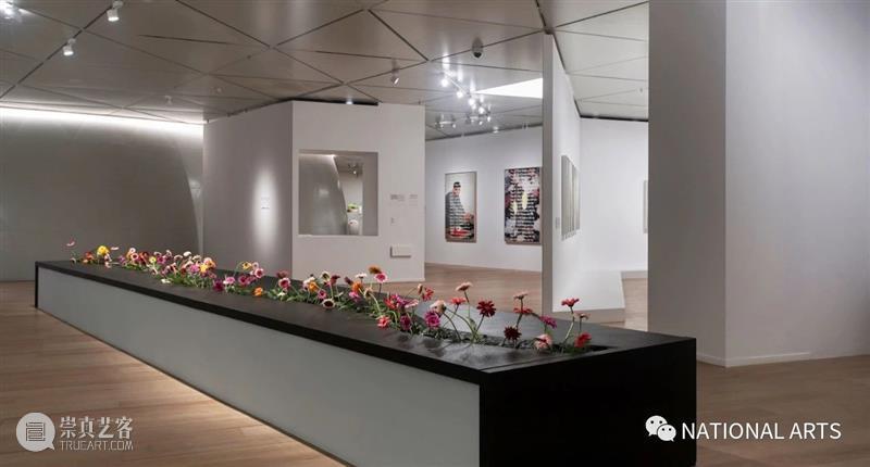 国家美术·展讯丨以花之名——上海明珠美术馆 上海明珠美术馆 国家 美术 展讯 名称 日期 地点 开幕式 嘉宾 艺术家 崇真艺客