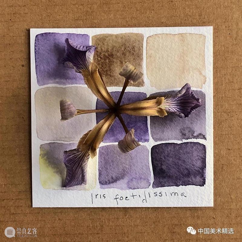 向植物学习配色  中国美术精选 配色 植物 大自然 色彩 作品 花园 颜色 自然元素 树枝 花朵 崇真艺客