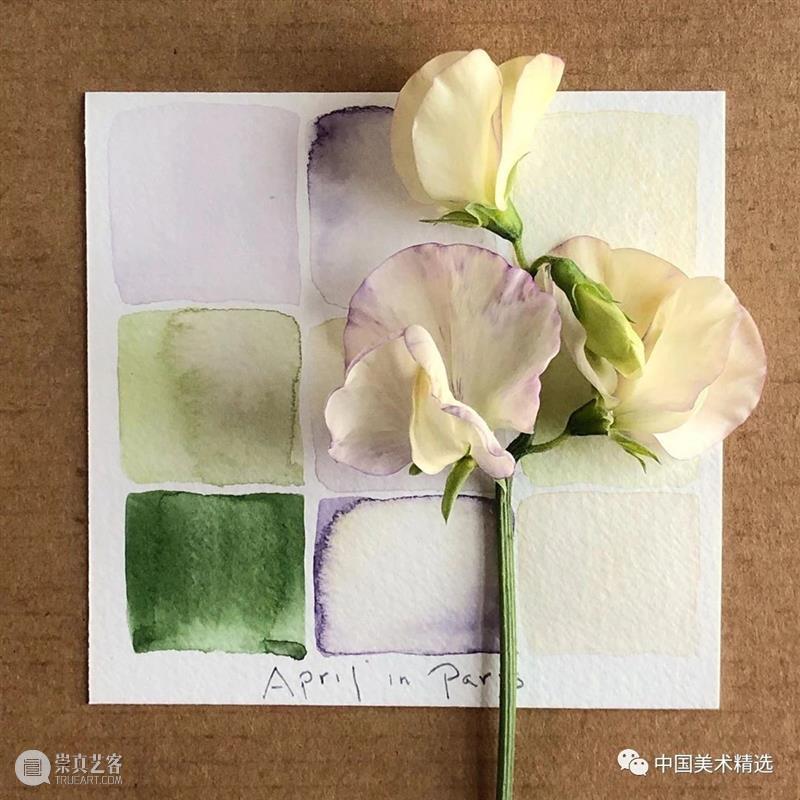 向植物学习配色  中国美术精选 配色 植物 大自然 色彩 作品 花园 颜色 自然元素 树枝 花朵 崇真艺客