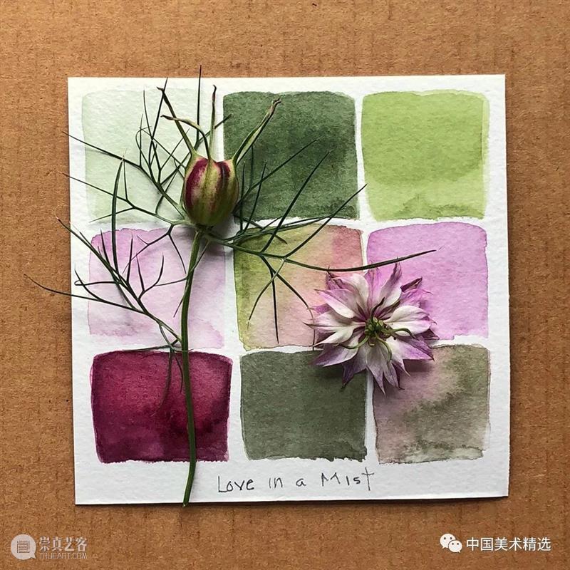 向植物学习配色  中国美术精选 配色 植物 大自然 色彩 作品 花园 颜色 自然元素 树枝 花朵 崇真艺客