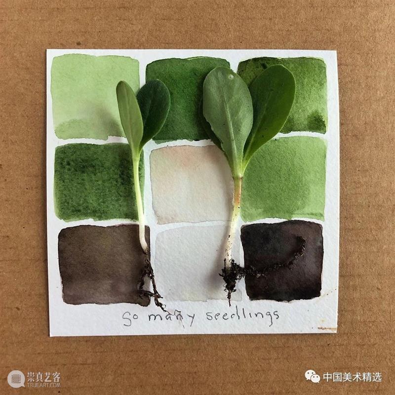 向植物学习配色  中国美术精选 配色 植物 大自然 色彩 作品 花园 颜色 自然元素 树枝 花朵 崇真艺客