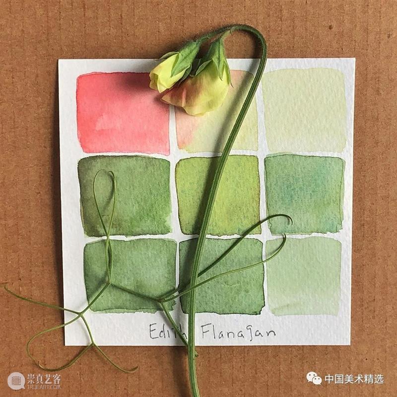 向植物学习配色  中国美术精选 配色 植物 大自然 色彩 作品 花园 颜色 自然元素 树枝 花朵 崇真艺客