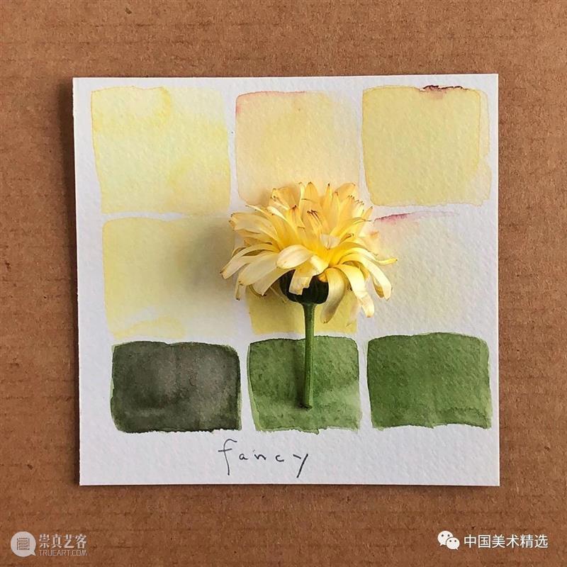 向植物学习配色  中国美术精选 配色 植物 大自然 色彩 作品 花园 颜色 自然元素 树枝 花朵 崇真艺客