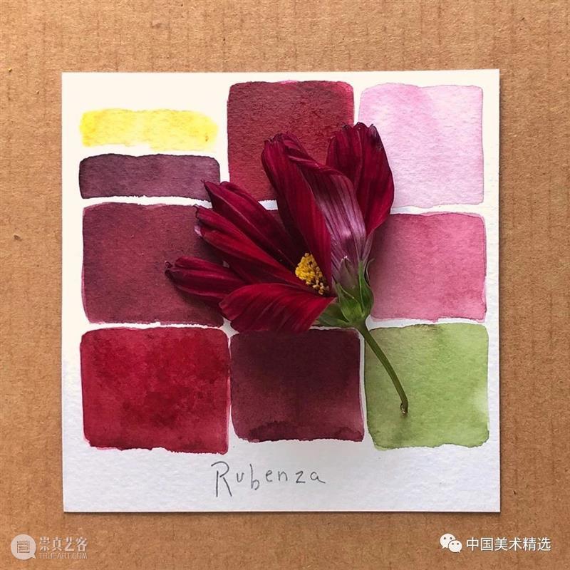 向植物学习配色  中国美术精选 配色 植物 大自然 色彩 作品 花园 颜色 自然元素 树枝 花朵 崇真艺客