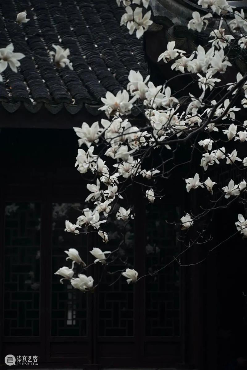 我以草木寄闲情 文人空间 草木 闲情 光阴 钟情 汪曾祺 古人 山园 花径 一草一木 人心 崇真艺客