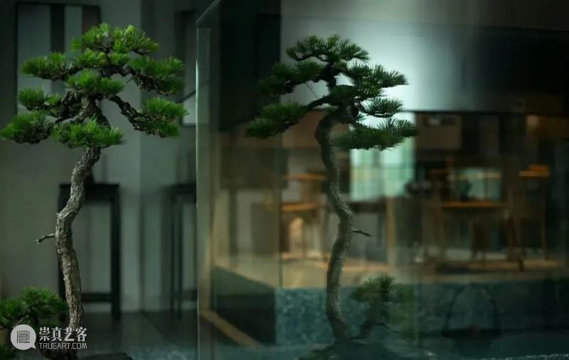 我以草木寄闲情 文人空间 草木 闲情 光阴 钟情 汪曾祺 古人 山园 花径 一草一木 人心 崇真艺客