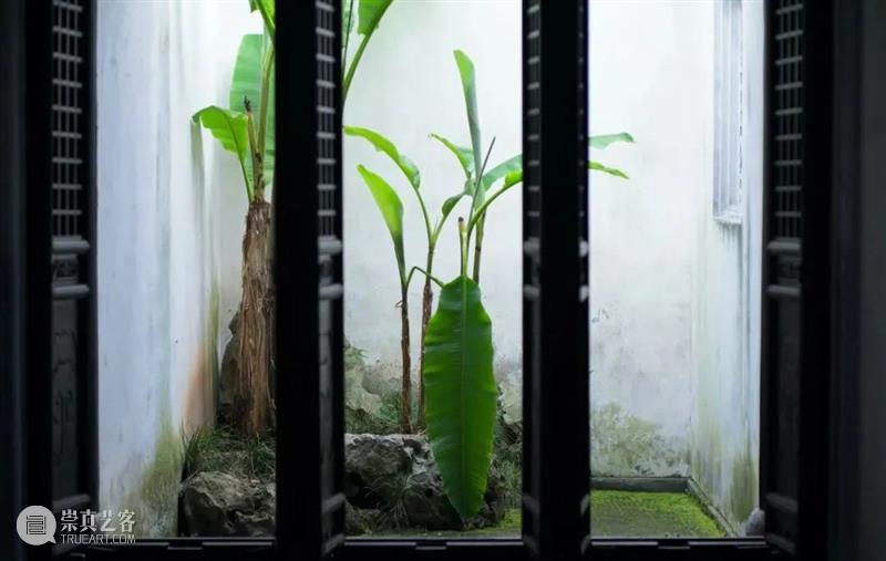 我以草木寄闲情 文人空间 草木 闲情 光阴 钟情 汪曾祺 古人 山园 花径 一草一木 人心 崇真艺客