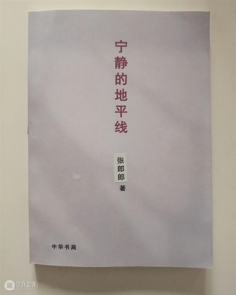 明净招魂——张郎郎的《印象》 印象 张郎郎 明净招魂 丙烯文 杜曦云 图像 视频 时代 光电 形色 崇真艺客