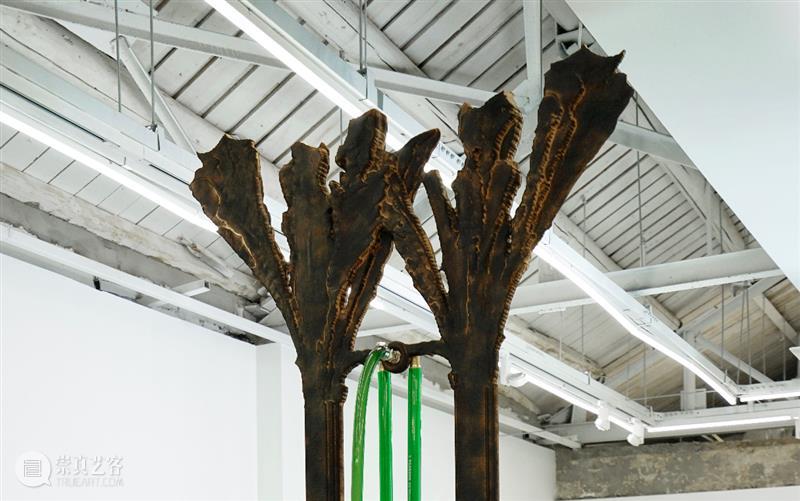 New Artists Introduction: Past Works of Feng Zhixuan, Zhong Wei Wei Particles renovation Cai Jian Zhixuan Hanwei Boyu Ziquan sculpture 崇真艺客