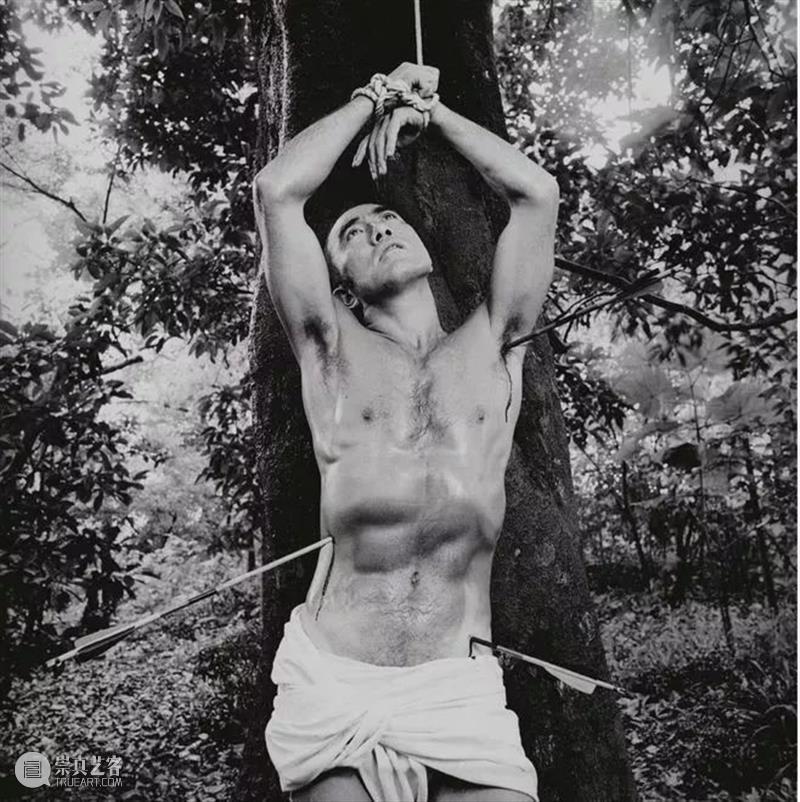 少女真是怎么拍都好看 少女 文章 公众 名利场 艺术 镜头 日后 稚气 筱山纪信 灵气 崇真艺客