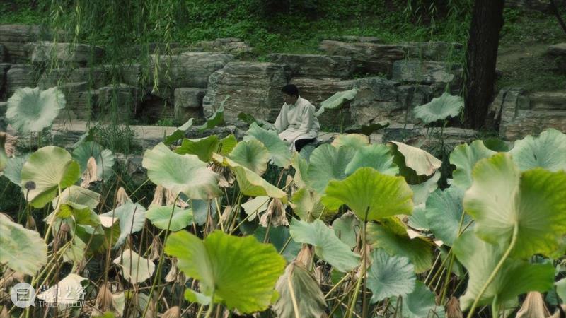 【OCAT上海馆｜作品介绍】王拓《扭曲词场》 作品 王拓 扭曲词场 OCAT 上海馆 当前 青年 媒体 艺术家 其中 崇真艺客