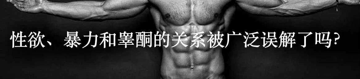 性欲简史：亲密生活永不停歇的复杂性 生活 性欲 复杂性 简史 利维坦 西方 现代 世界 场景 宗教 崇真艺客