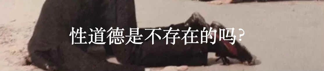 性欲简史：亲密生活永不停歇的复杂性 生活 性欲 复杂性 简史 利维坦 西方 现代 世界 场景 宗教 崇真艺客
