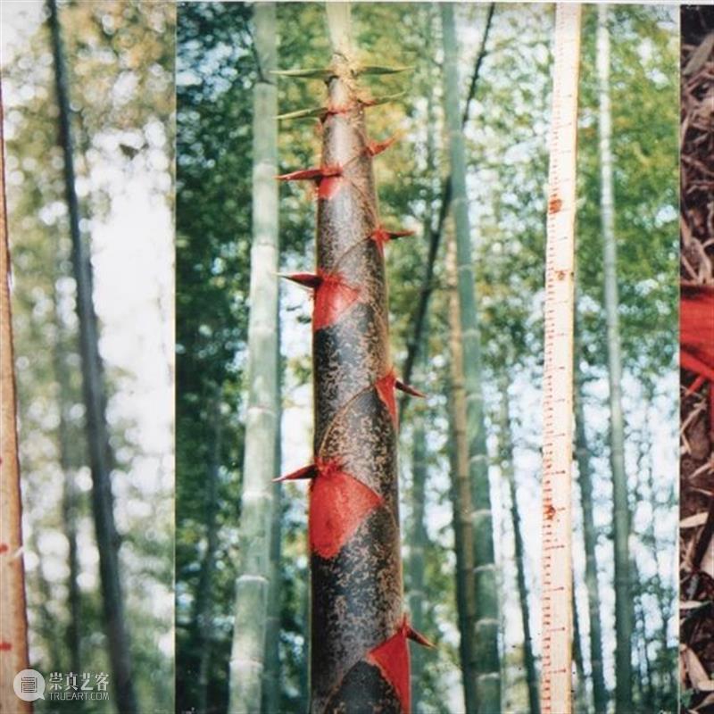 PSA读图 | 《骑墙·深圳(2)》——翁培竣(翁奋) 深圳 翁培竣 翁奋 PSA 骑墙 中华艺术宫 前后 当时 海口 城市 崇真艺客