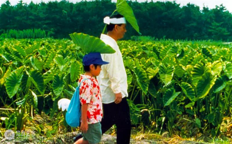 爽片太太太多了，9月我想住在电影院！ 电影院 爽片 太太 转眼间 过去 八佰 院线 电影 票房 新片 崇真艺客