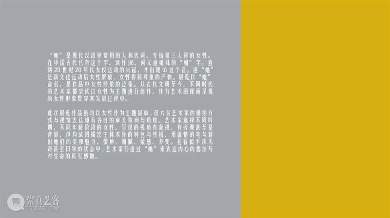 她 | 电子画册发布 电子 画册 艺术 北京 空间 艺术家 网站 网址 pdf jsp 崇真艺客