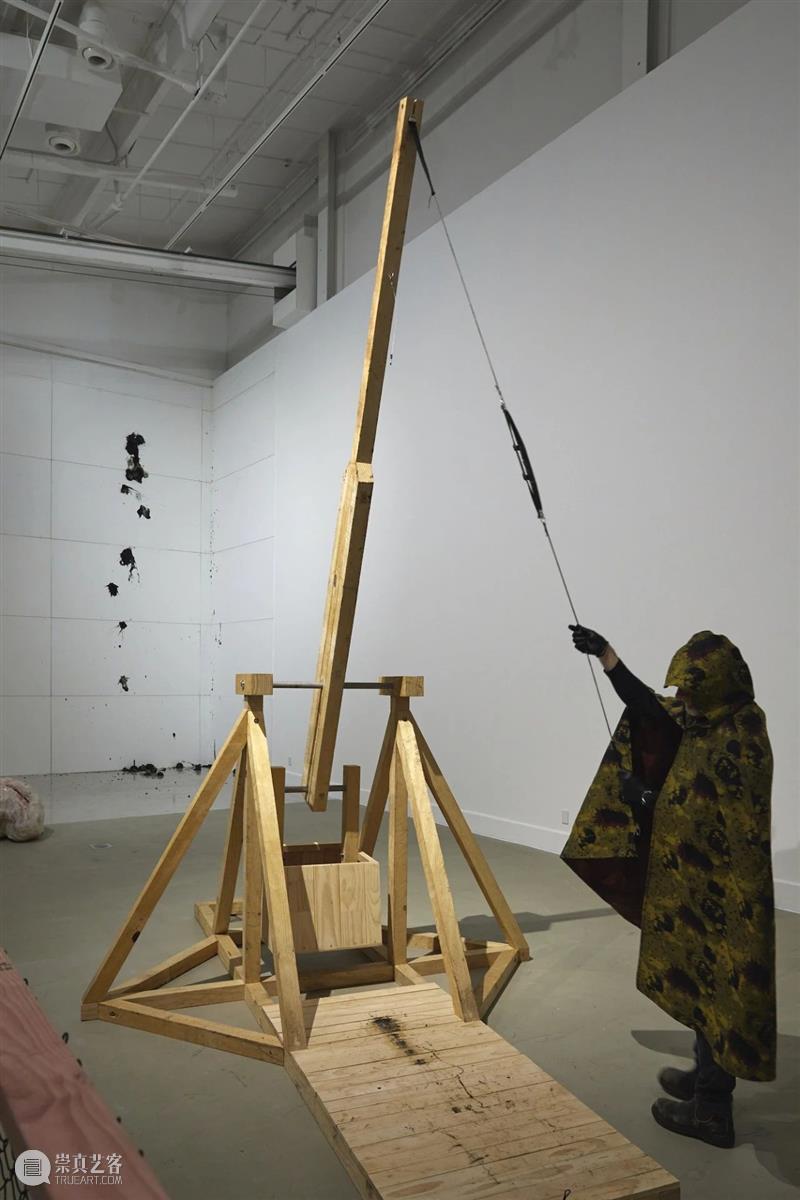 艺术家工作室探访 | 林丛欣:最近的兴趣是猫 林丛欣 艺术家 工作室 兴趣 广东时代美术馆 新西兰 Govett Brewster美术馆 个展 猪仔 崇真艺客