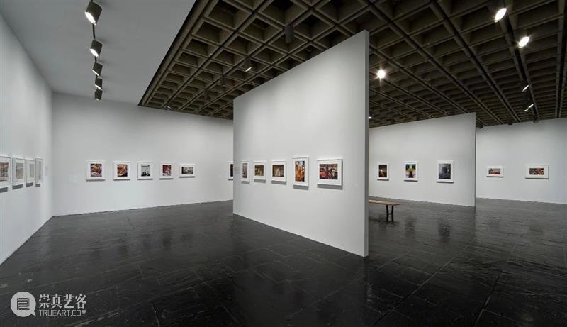 威廉·埃格尔斯顿（William Eggleston）展览历史完整回顾 威廉·埃格尔斯顿 Eggleston 历史 内容 卓纳 画廊 无题 洛斯阿拉莫斯 项目 作品 崇真艺客