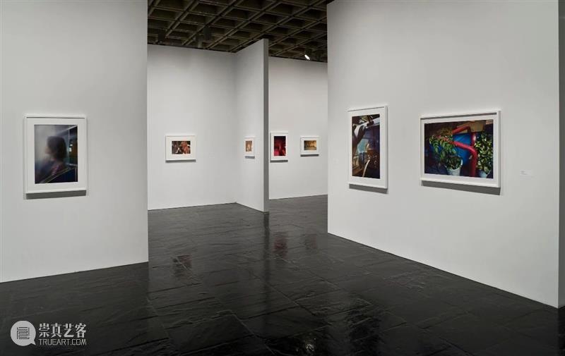 威廉·埃格尔斯顿（William Eggleston）展览历史完整回顾 威廉·埃格尔斯顿 Eggleston 历史 内容 卓纳 画廊 无题 洛斯阿拉莫斯 项目 作品 崇真艺客