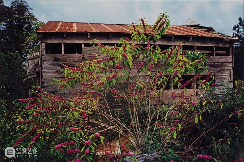 威廉·埃格尔斯顿(William Eggleston)展览历史完整回顾 威廉·埃格尔斯顿 Eggleston 历史 内容 卓纳 画廊 无题 洛斯阿拉莫斯 项目 作品 崇真艺客