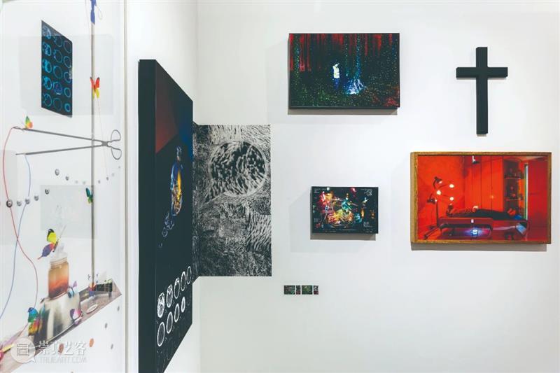 McaM 展评 | 王凯梅—巫师与艺术家：让超验成为可见 王凯梅 McaM 艺术家 巫师 展评 法国 兄弟 比利牛斯山 脚下 岩洞 崇真艺客