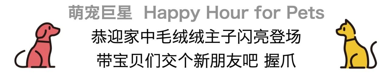 2020秋日必逛 | 给个机会,一起去海边走走吧~ 海边 机会 开头 日子 天地 什么样 生活 意义 一群人 乐趣 崇真艺客