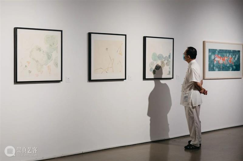 “她水墨——中国当代女艺术家水墨大展”盛大开幕 水墨 中国 艺术家 大展 今日美术馆 现场 嘉宾 开幕式 上策展 杨维民 崇真艺客