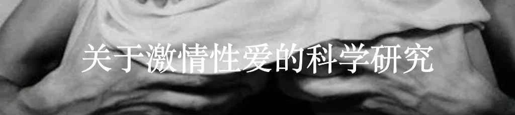 浪漫造就的灾难 灾难 被偷的吻 奥诺雷·弗拉戈纳尔 Jean Honoré Fragonard wikipedia 利维坦 罗曼司 字根 崇真艺客