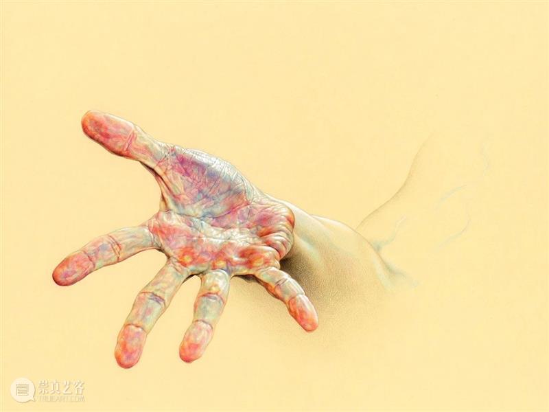 绘画丨一半真实一半梦幻——肉欲柔美有力量感的曲线 绘画 力量感 梦幻 肉欲 曲线 上方 中国舞台美术学会 右上 星标 本文 崇真艺客