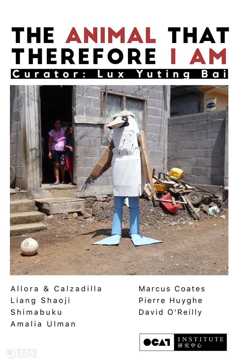 2020研究型展览:策展方案入围展 展览 中国 北京市OCAT研究中心 OCAT研究中心  崇真艺客
