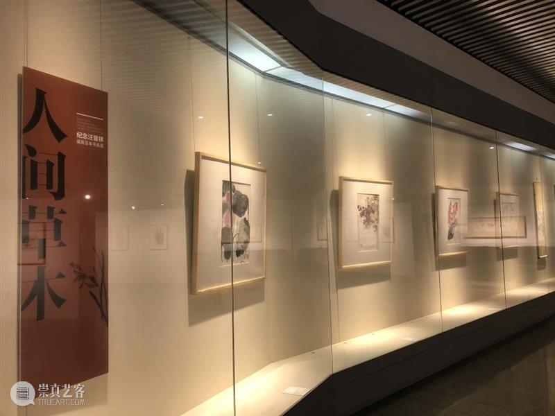岭上多白云——纪念汪曾祺诞辰百年书画展开幕 岭上多白云 汪曾祺 诞辰 书画展 浙江美术馆 书画 作品 手稿 散文 名称 崇真艺客