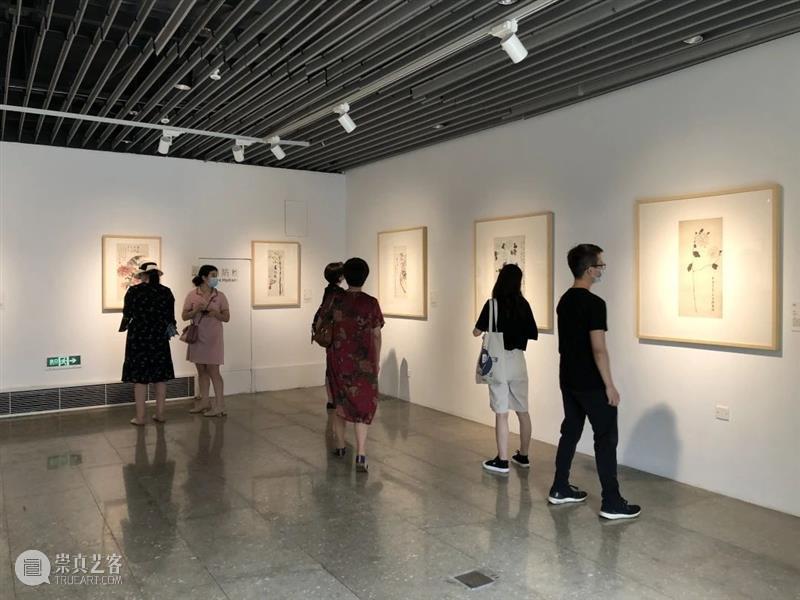 岭上多白云——纪念汪曾祺诞辰百年书画展开幕 岭上多白云 汪曾祺 诞辰 书画展 浙江美术馆 书画 作品 手稿 散文 名称 崇真艺客