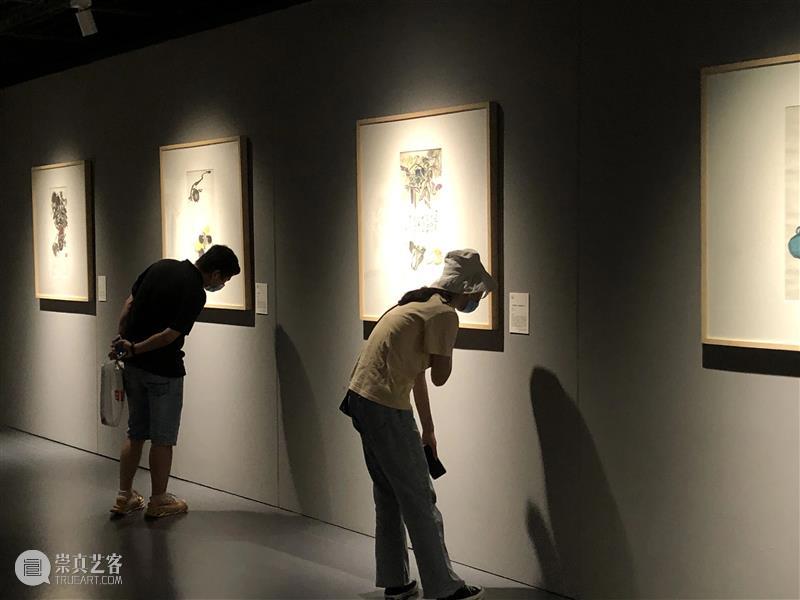 岭上多白云——纪念汪曾祺诞辰百年书画展开幕 岭上多白云 汪曾祺 诞辰 书画展 浙江美术馆 书画 作品 手稿 散文 名称 崇真艺客