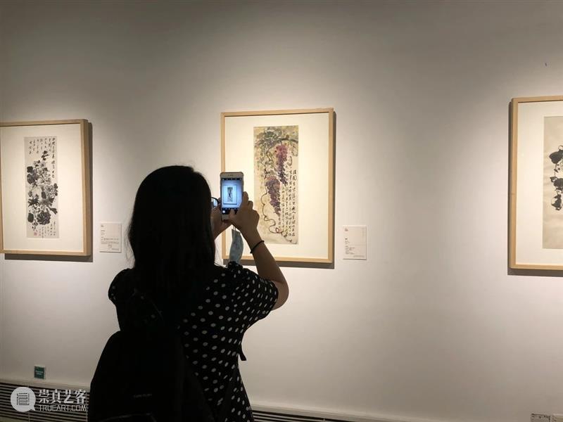 岭上多白云——纪念汪曾祺诞辰百年书画展开幕 岭上多白云 汪曾祺 诞辰 书画展 浙江美术馆 书画 作品 手稿 散文 名称 崇真艺客