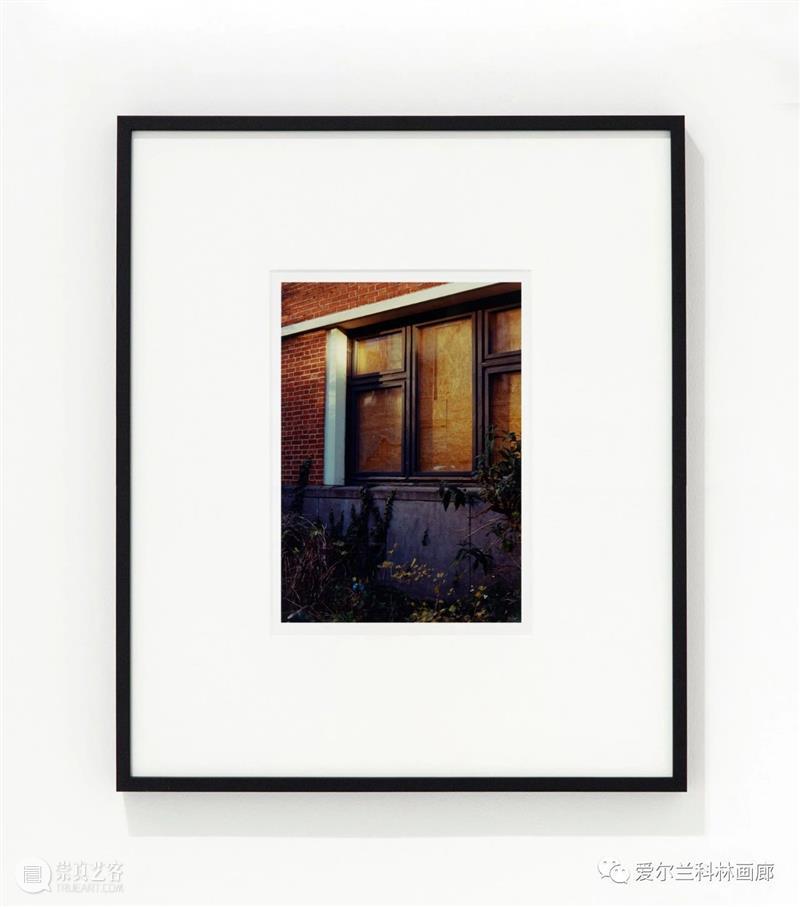科林画廊：塞缪尔·劳伦斯·坎南 | 伊丽莎白·玛吉 双个展 塞缪尔 劳伦斯·坎南 伊丽莎白·玛吉 科林 画廊 个展 沙农 Shannon 档案 相纸 崇真艺客
