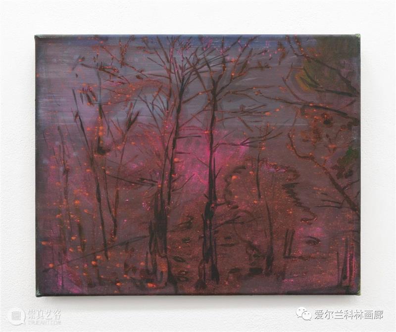 科林画廊：塞缪尔·劳伦斯·坎南 | 伊丽莎白·玛吉 双个展 塞缪尔 劳伦斯·坎南 伊丽莎白·玛吉 科林 画廊 个展 沙农 Shannon 档案 相纸 崇真艺客