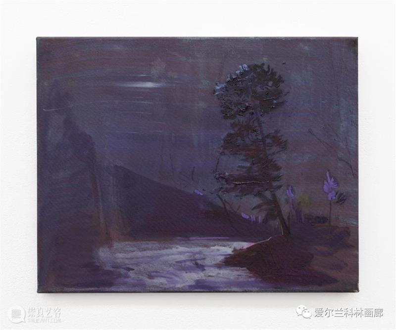 科林画廊：塞缪尔·劳伦斯·坎南 | 伊丽莎白·玛吉 双个展 塞缪尔 劳伦斯·坎南 伊丽莎白·玛吉 科林 画廊 个展 沙农 Shannon 档案 相纸 崇真艺客