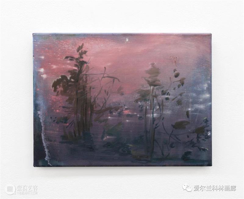 科林画廊：塞缪尔·劳伦斯·坎南 | 伊丽莎白·玛吉 双个展 塞缪尔 劳伦斯·坎南 伊丽莎白·玛吉 科林 画廊 个展 沙农 Shannon 档案 相纸 崇真艺客