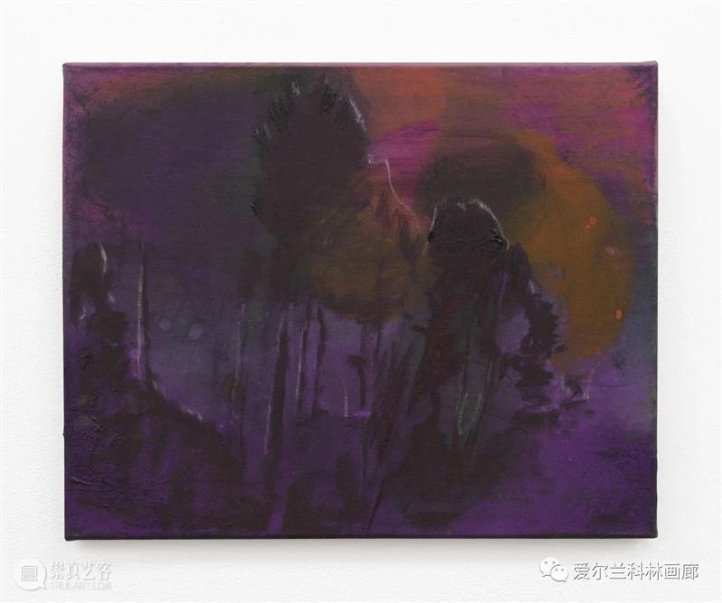科林画廊：塞缪尔·劳伦斯·坎南 | 伊丽莎白·玛吉 双个展 塞缪尔 劳伦斯·坎南 伊丽莎白·玛吉 科林 画廊 个展 沙农 Shannon 档案 相纸 崇真艺客