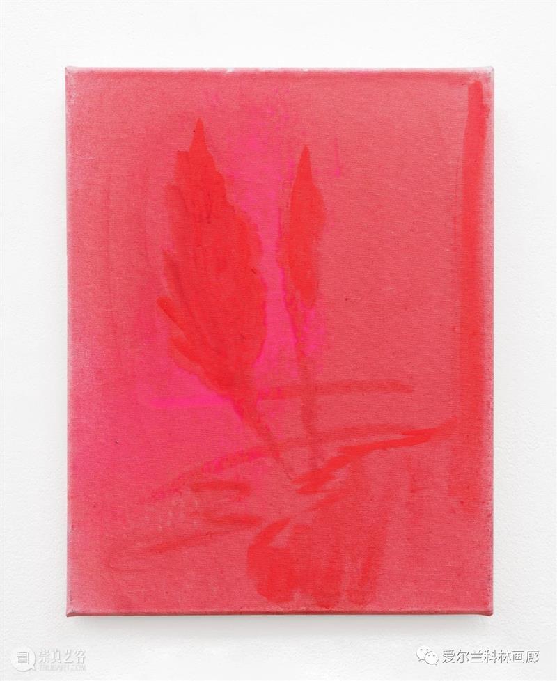 科林画廊：塞缪尔·劳伦斯·坎南 | 伊丽莎白·玛吉 双个展 塞缪尔 劳伦斯·坎南 伊丽莎白·玛吉 科林 画廊 个展 沙农 Shannon 档案 相纸 崇真艺客