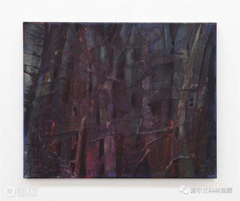 科林画廊：塞缪尔·劳伦斯·坎南 | 伊丽莎白·玛吉 双个展 塞缪尔 劳伦斯·坎南 伊丽莎白·玛吉 科林 画廊 个展 沙农 Shannon 档案 相纸 崇真艺客