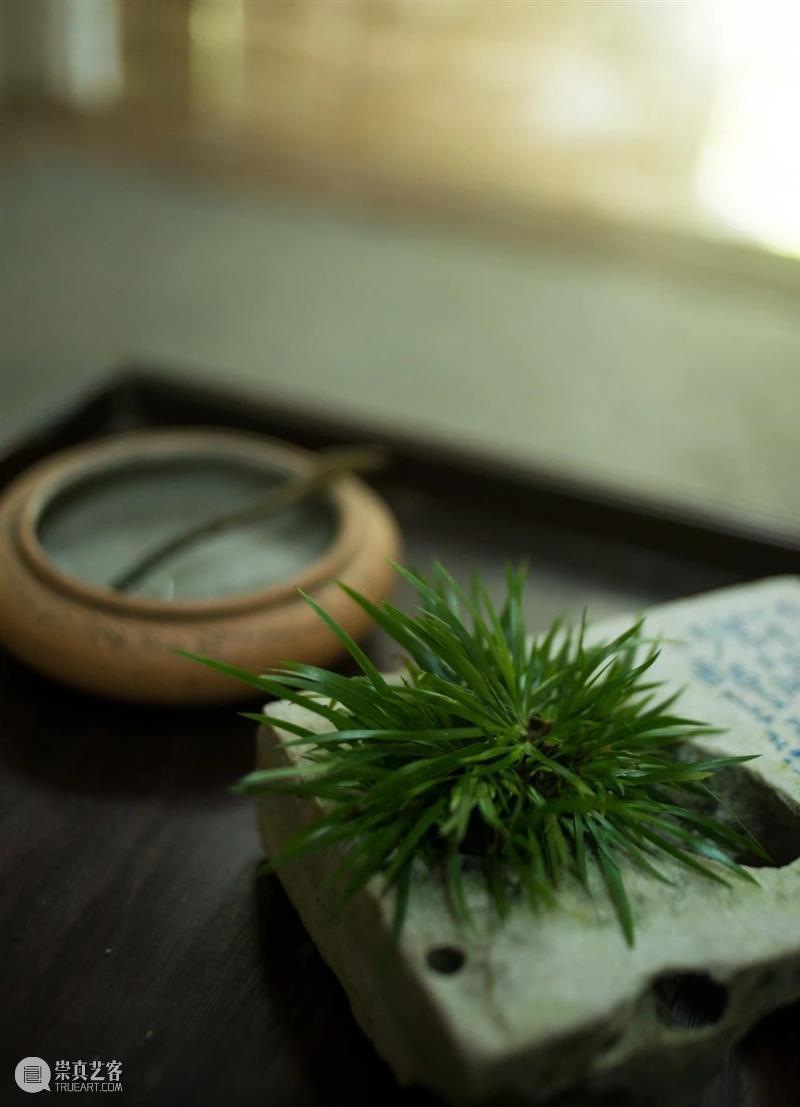 走进文人风雅生活 文人 生活 雅趣 现代 风尚 书房 香室 草木 茶茗 闲情 崇真艺客