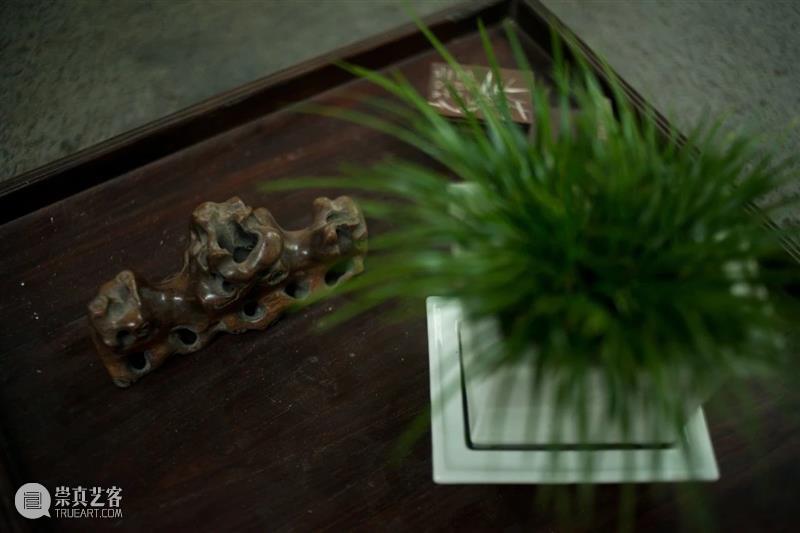 走进文人风雅生活 文人 生活 雅趣 现代 风尚 书房 香室 草木 茶茗 闲情 崇真艺客