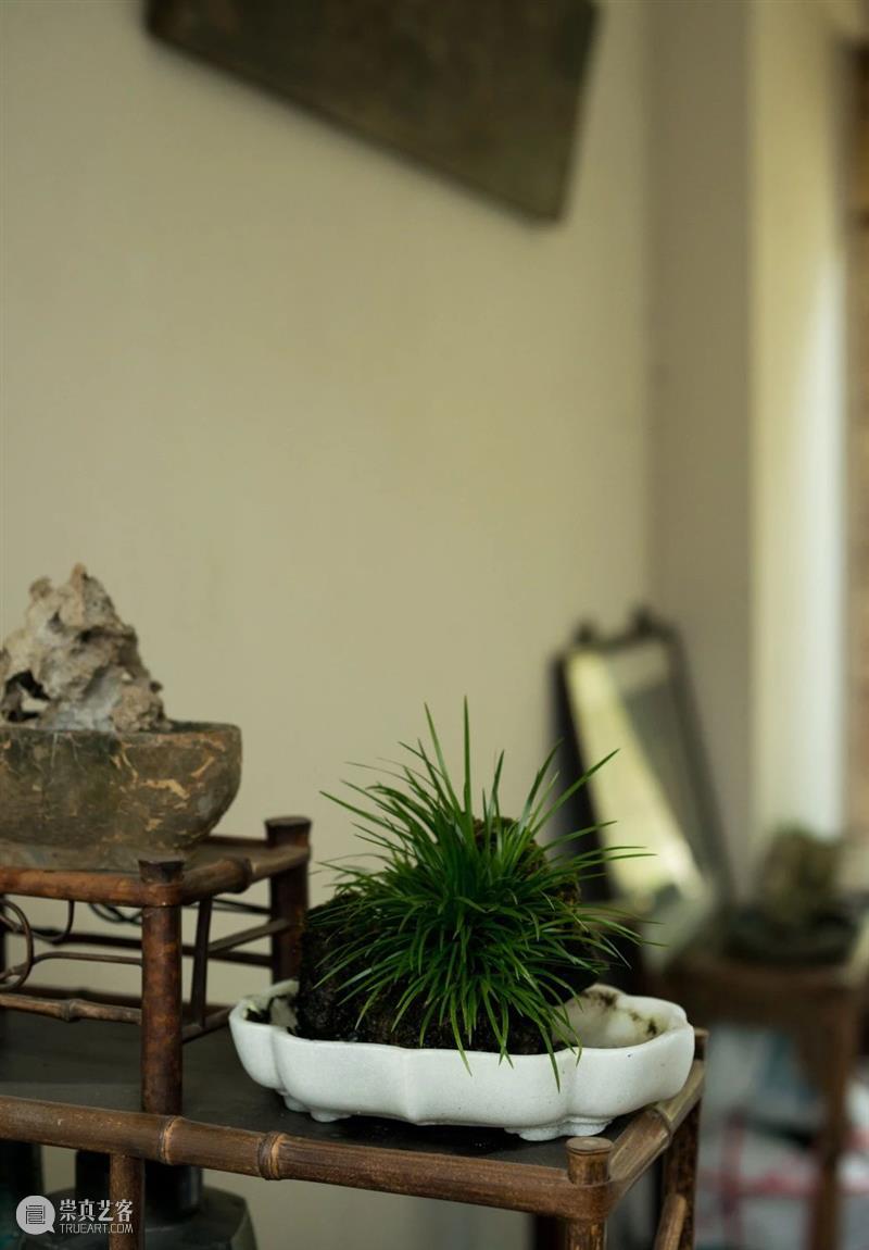 走进文人风雅生活 文人 生活 雅趣 现代 风尚 书房 香室 草木 茶茗 闲情 崇真艺客