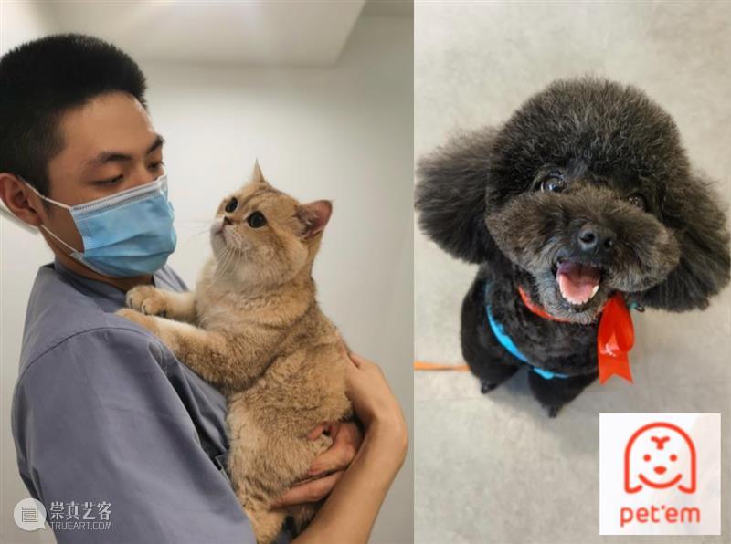 让吃喝玩乐有意思，才是周末该做的正经事！ 崇真艺客